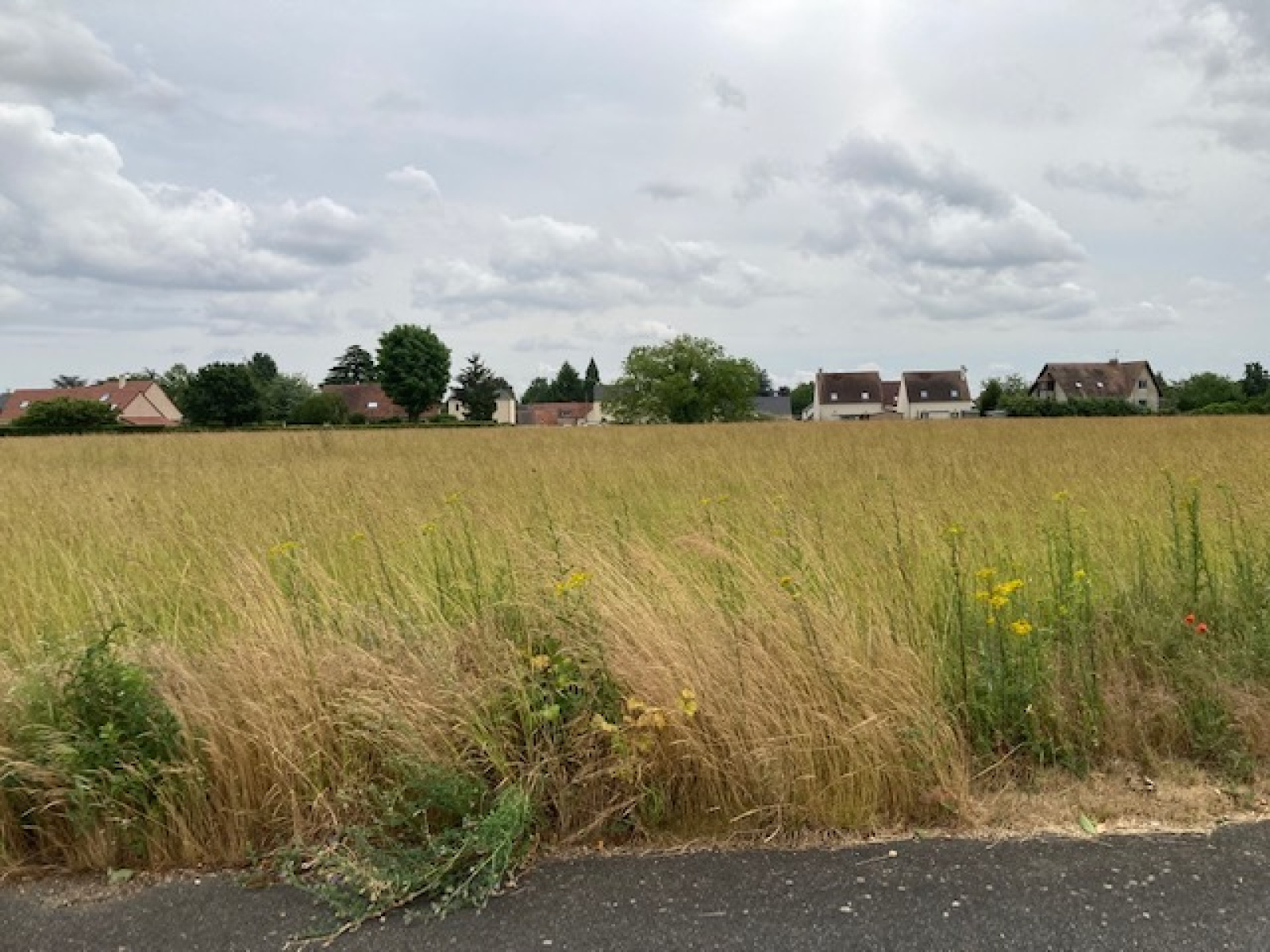 Image_, Terrain, Étampes, ref :GEVTE120013829