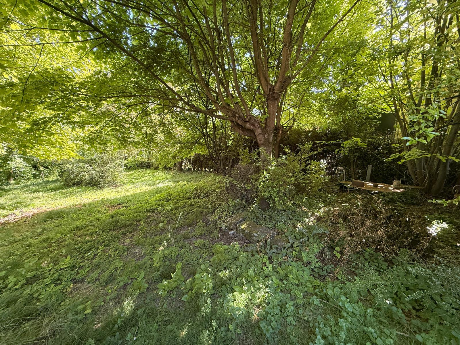 Image_, Maison, Étampes, ref :GVVMA170013811