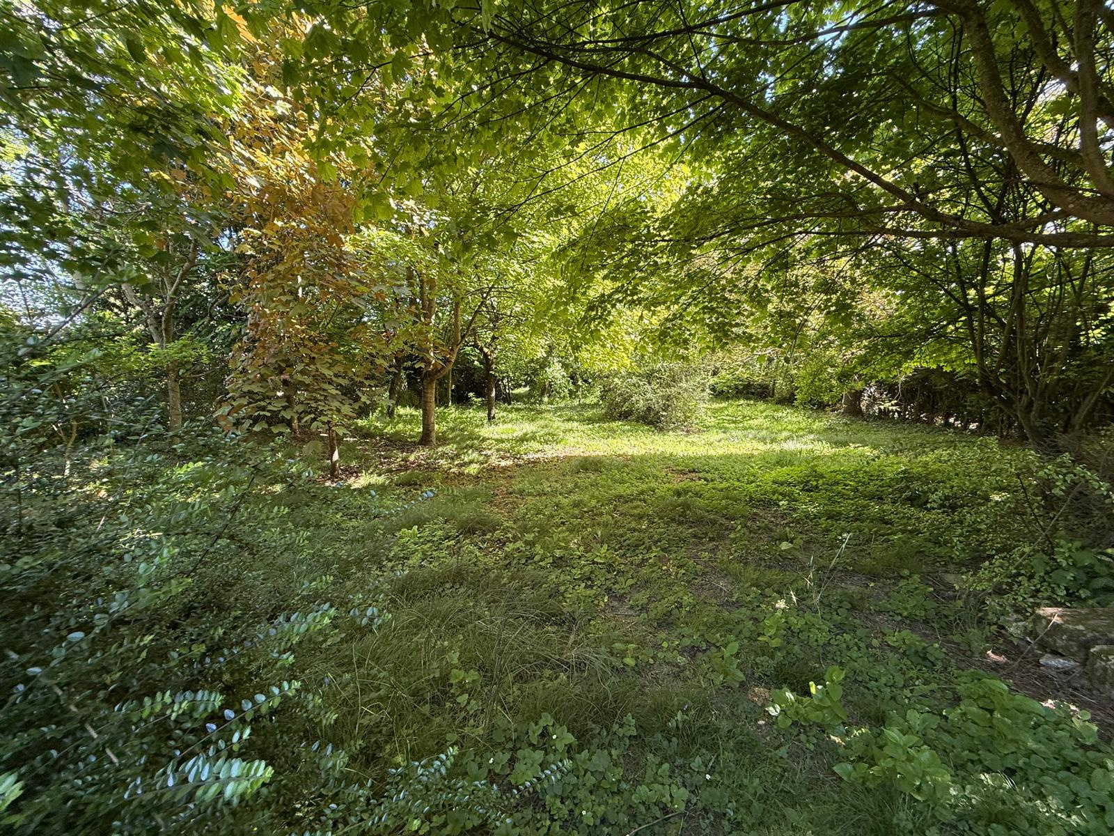 Image_, Maison, Étampes, ref :GVVMA170013811