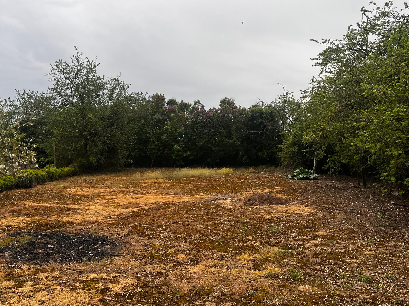 Image_, Ferme, Angerville, ref :GEVFE120013986