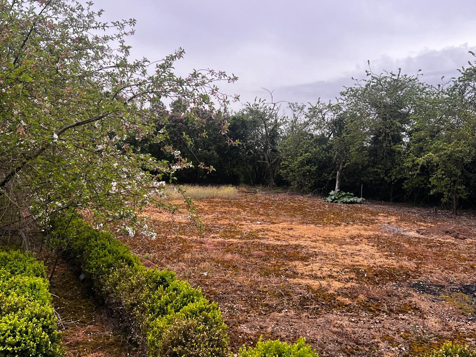 Image_, Ferme, Angerville, ref :GEVFE120013986