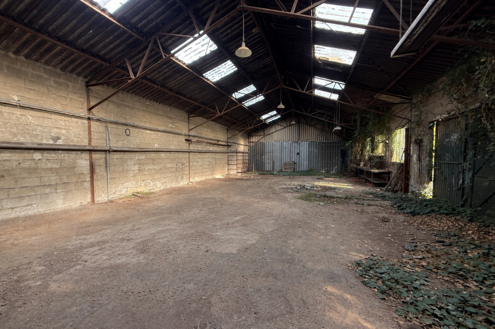 Image_, Entrepôt, Angerville, ref :GVVAU170013971