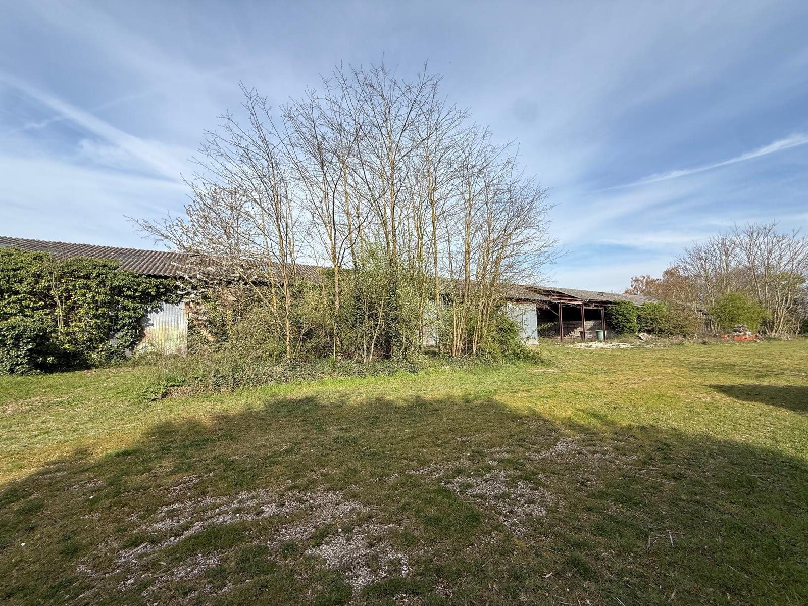 Image_, Entrepôt, Angerville, ref :GVVAU170013971