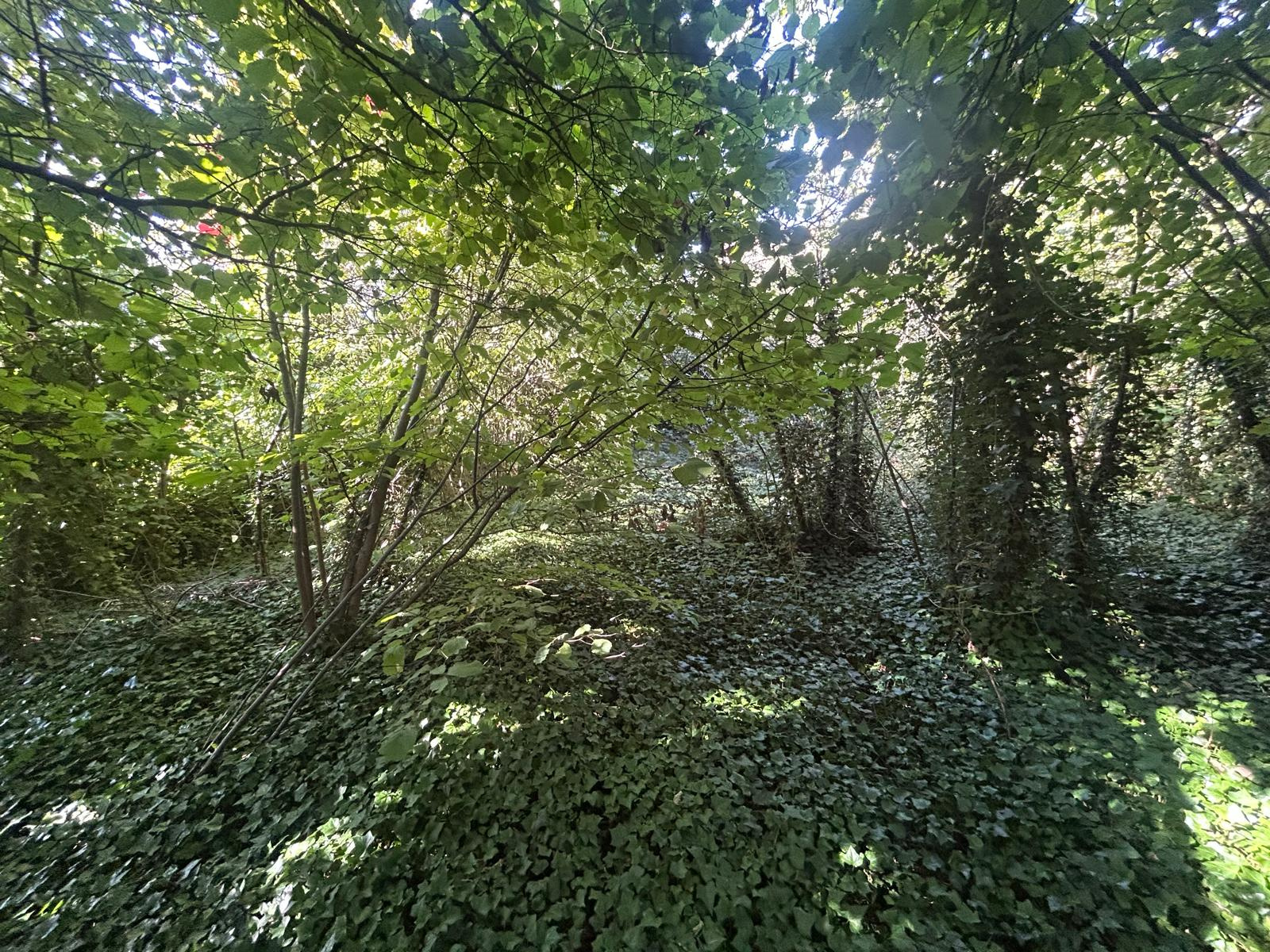 Image_, Autre, Monnerville, ref :GVVMA170013872