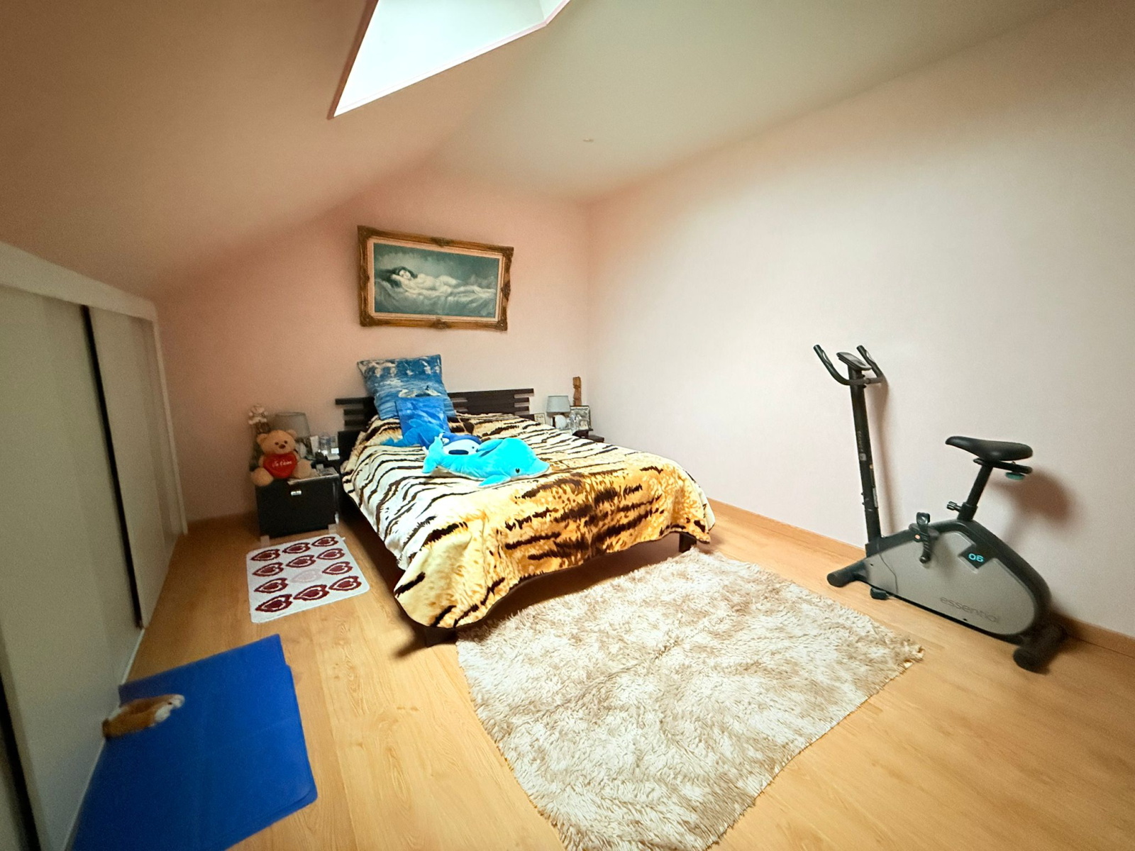 Image_, Maison, Janville, ref :GVVMA170013950