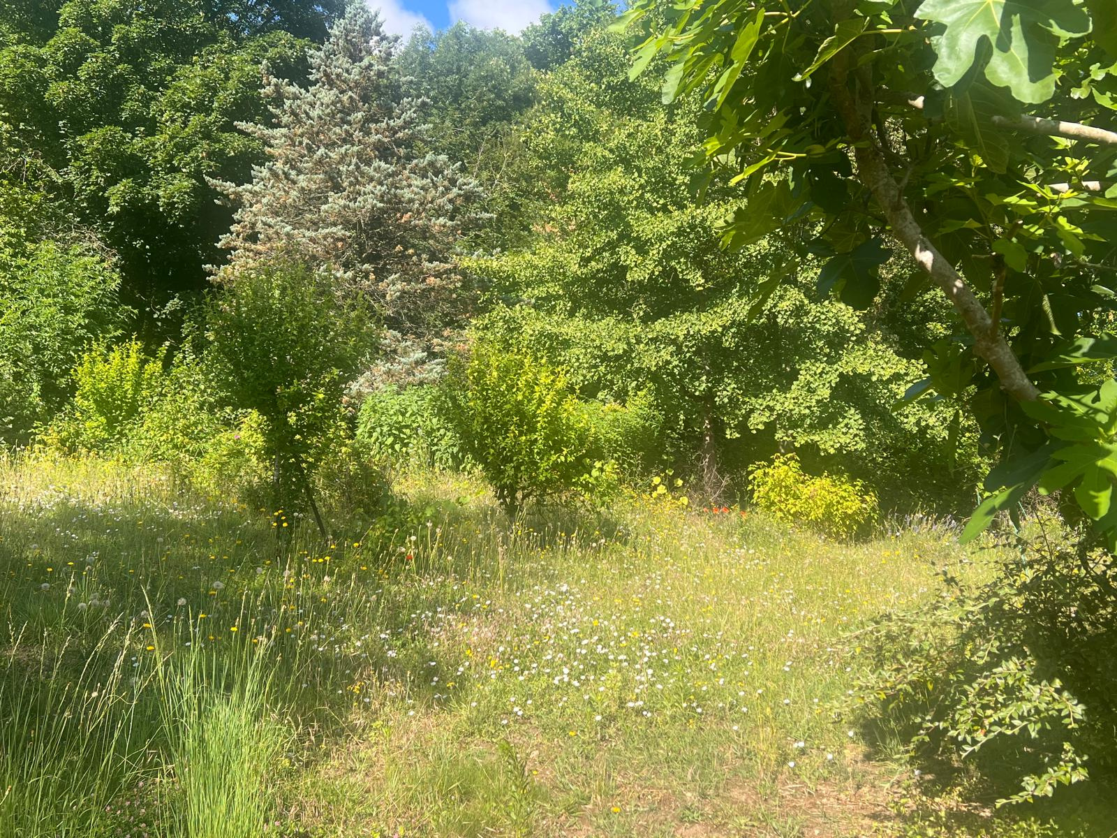 Image_, Maison, Saclas, ref :GEVMA120013847