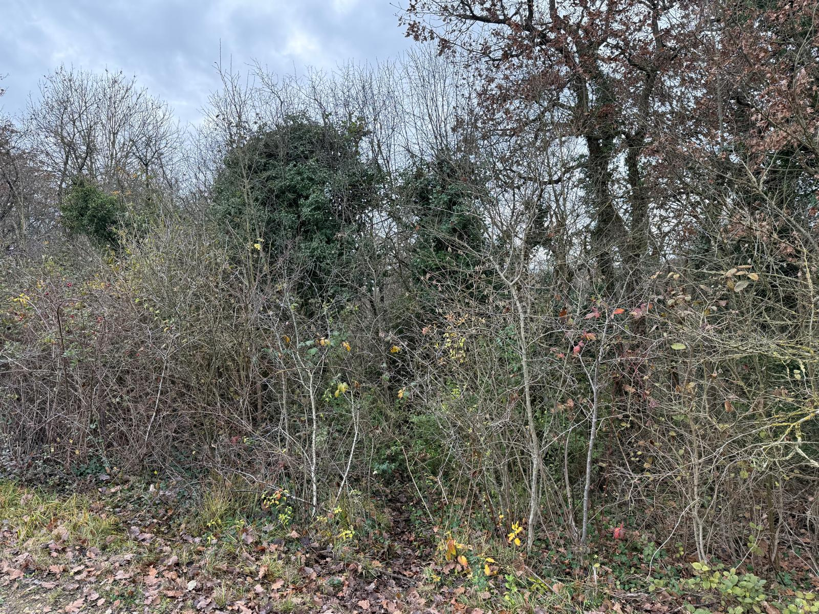 Image_, Terrain de loisir, Guillerval, ref :GVVTE170013917