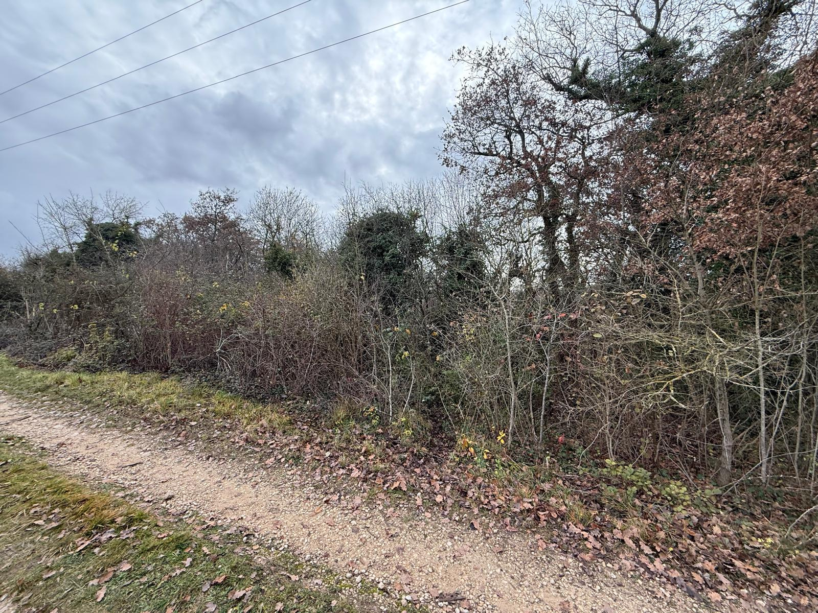 Image_, Terrain de loisir, Guillerval, ref :GVVTE170013917