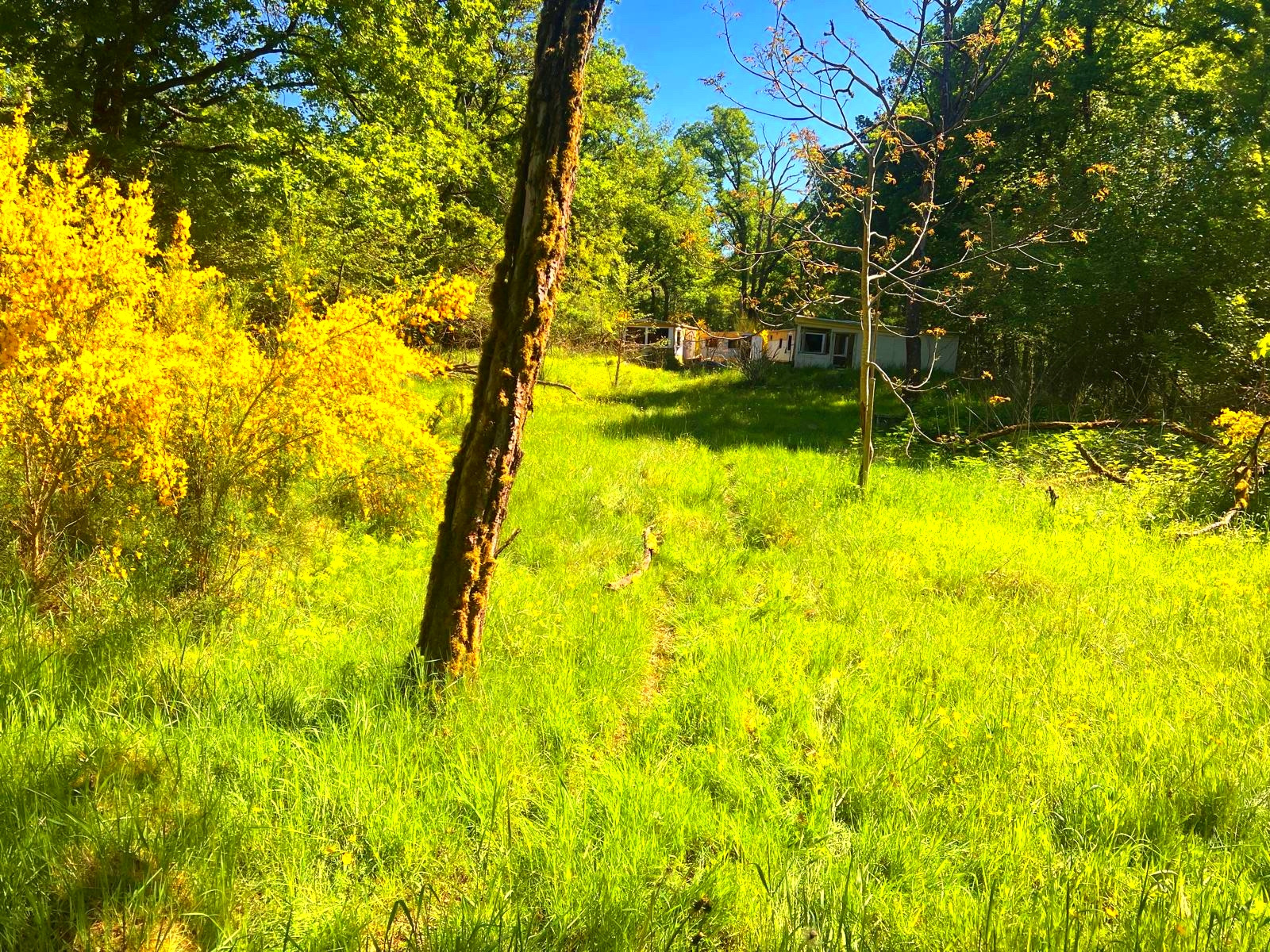 Image_, Terrain de loisir, Germigny-des-Prés, ref :GEVTE120013826