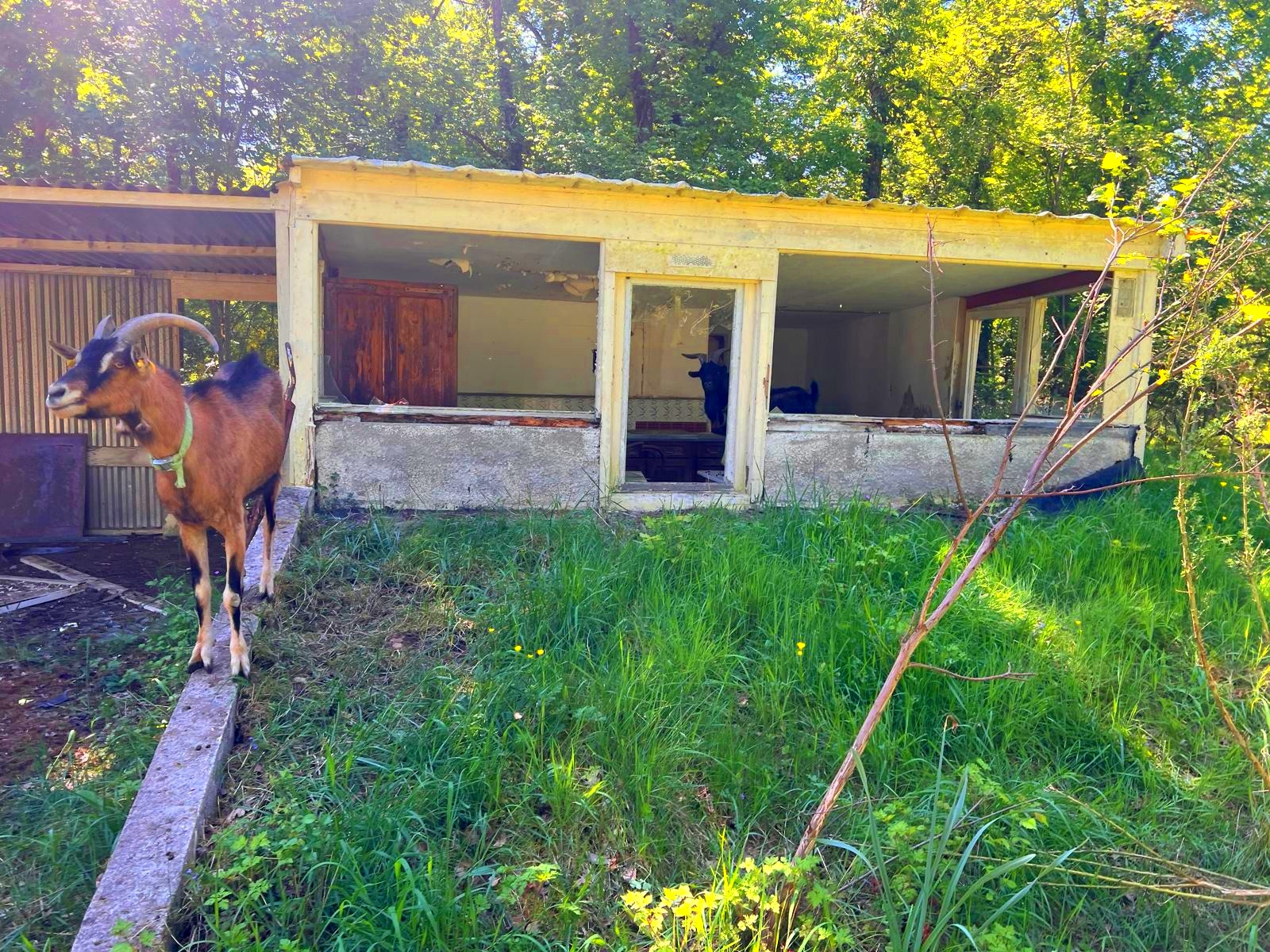 Image_, Terrain de loisir, Germigny-des-Prés, ref :GEVTE120013826
