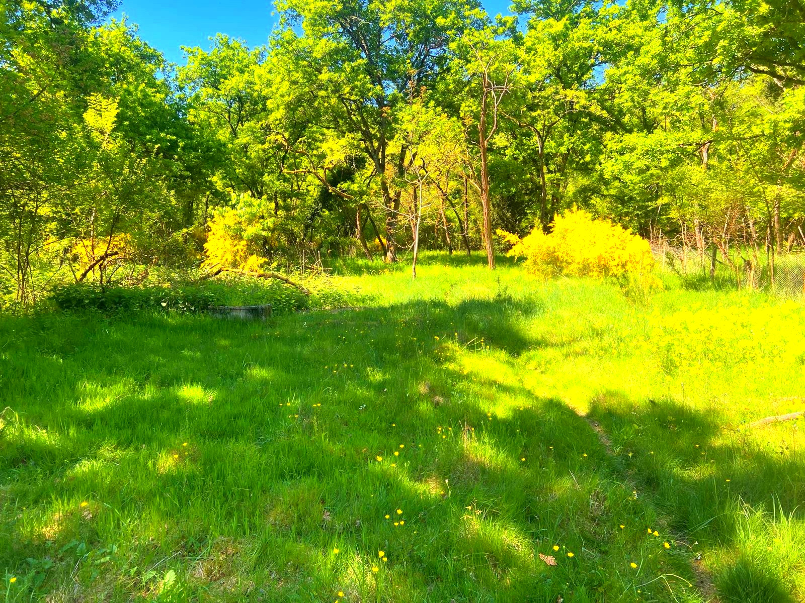 Image_, Terrain de loisir, Germigny-des-Prés, ref :GEVTE120013826