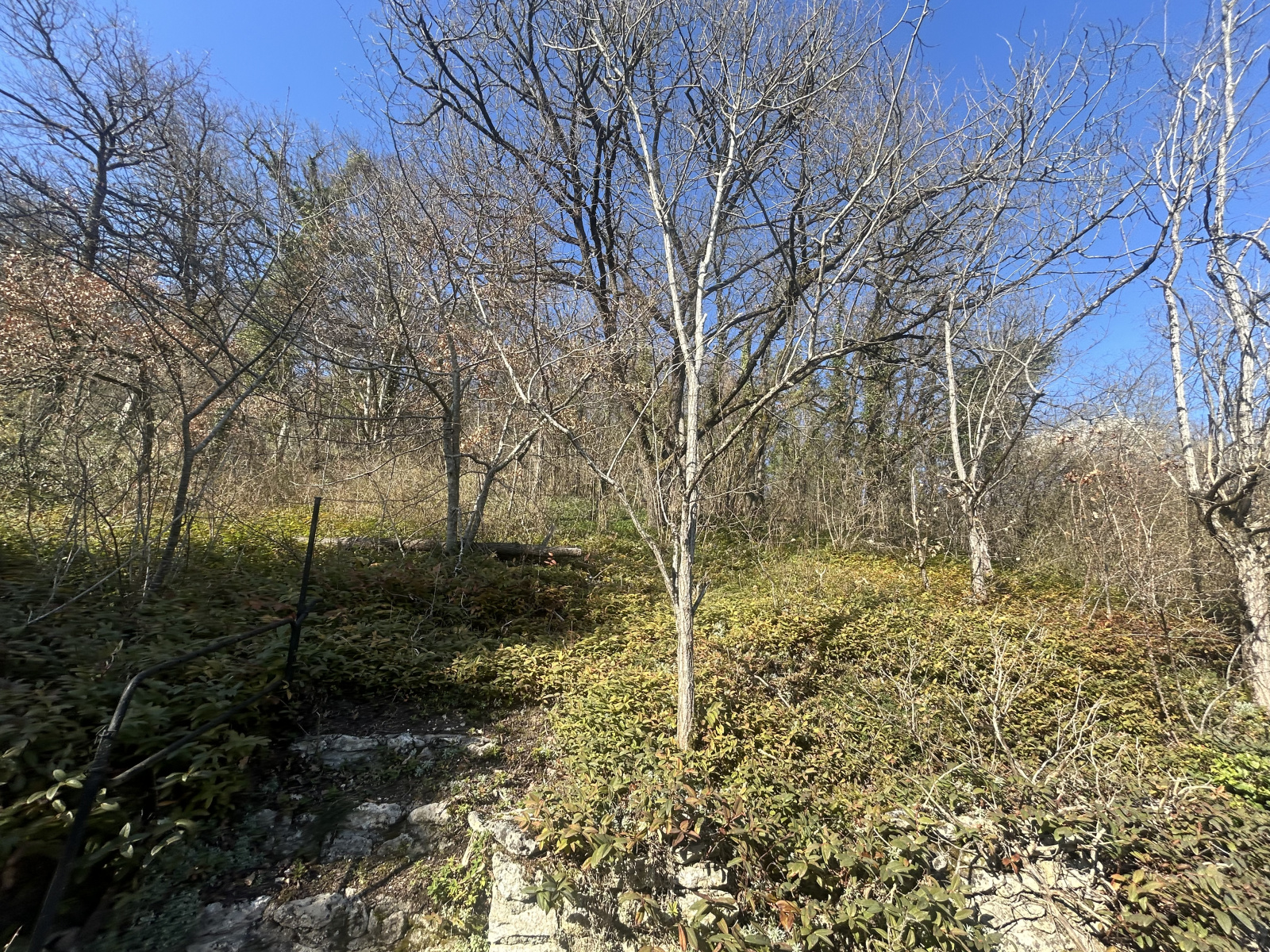 Image_, Maison, Saclas, ref :POVMA140013960