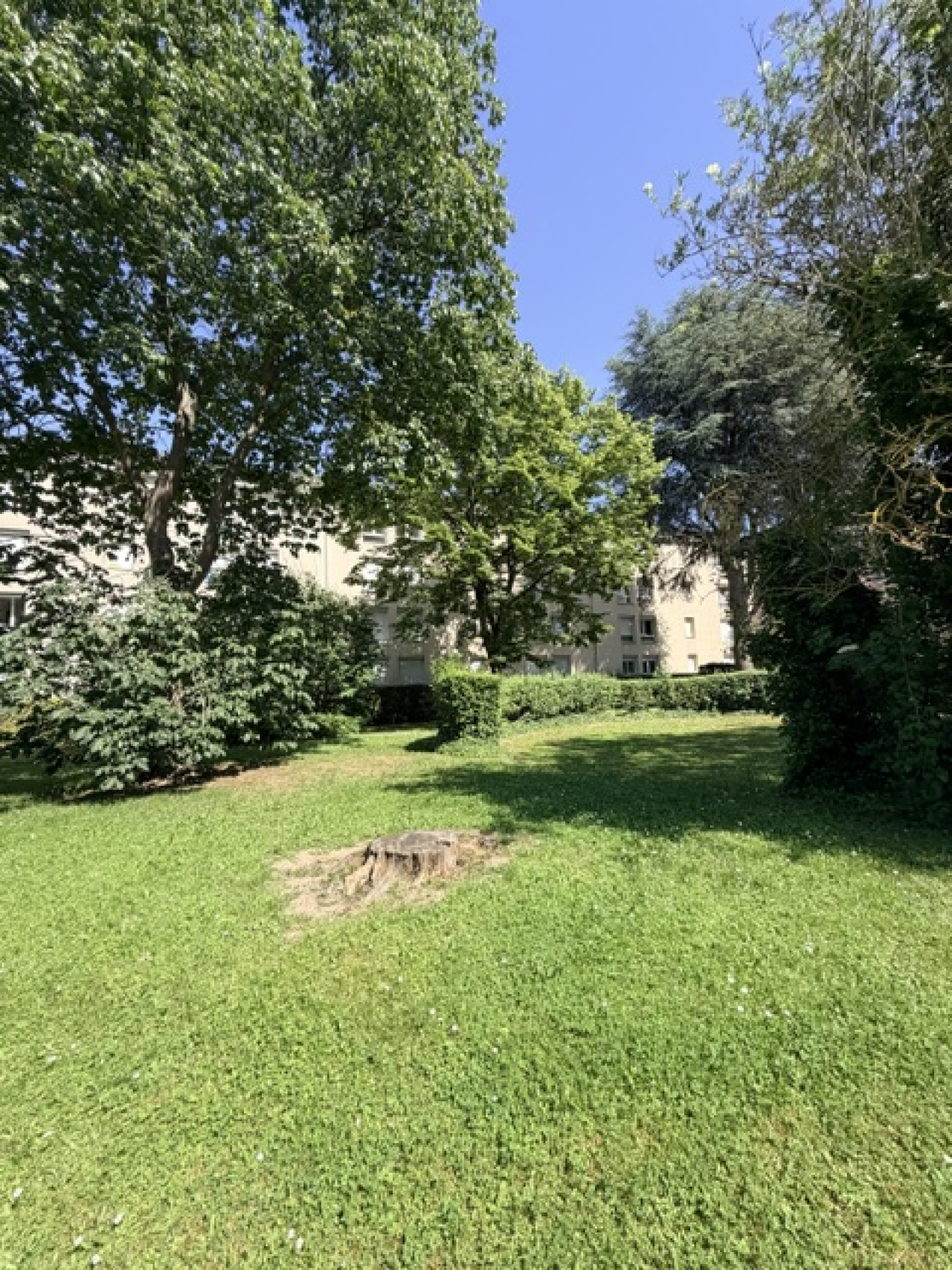Image_, Appartement, Brétigny-sur-Orge, ref :GELAP120014020