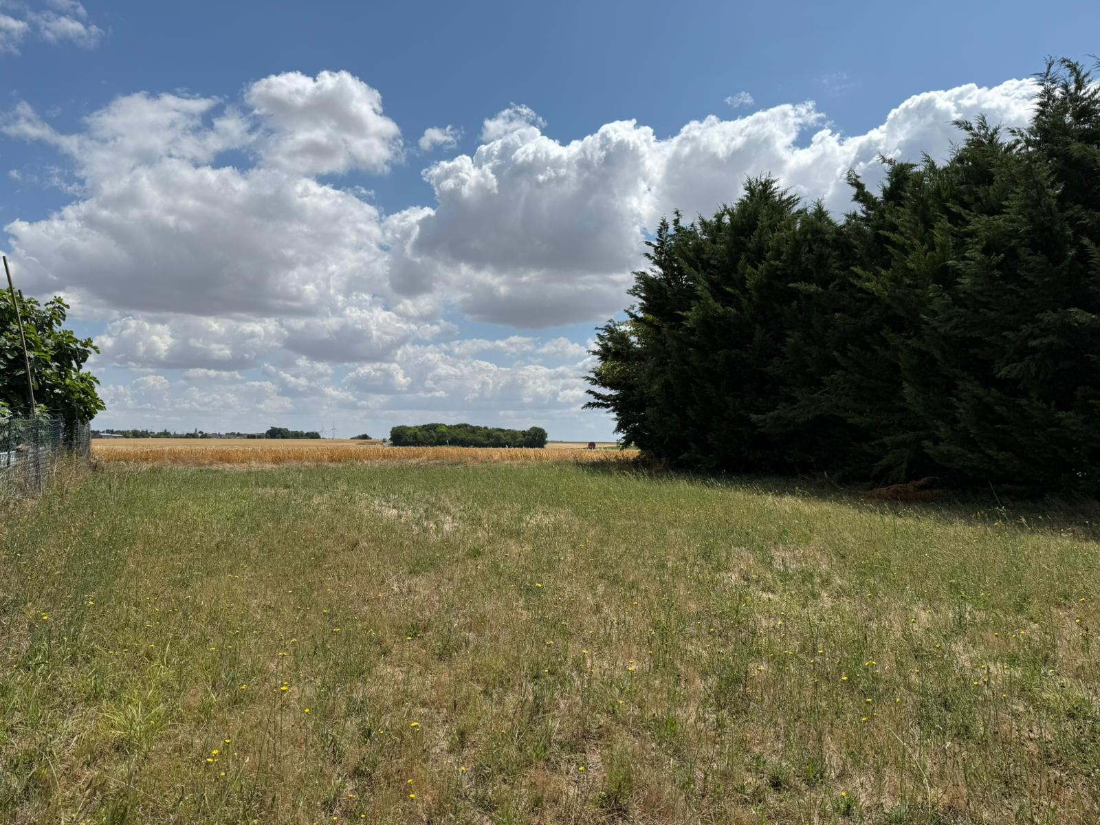 Image_, Terrain à batir, Erceville, ref :GVVTE170013735