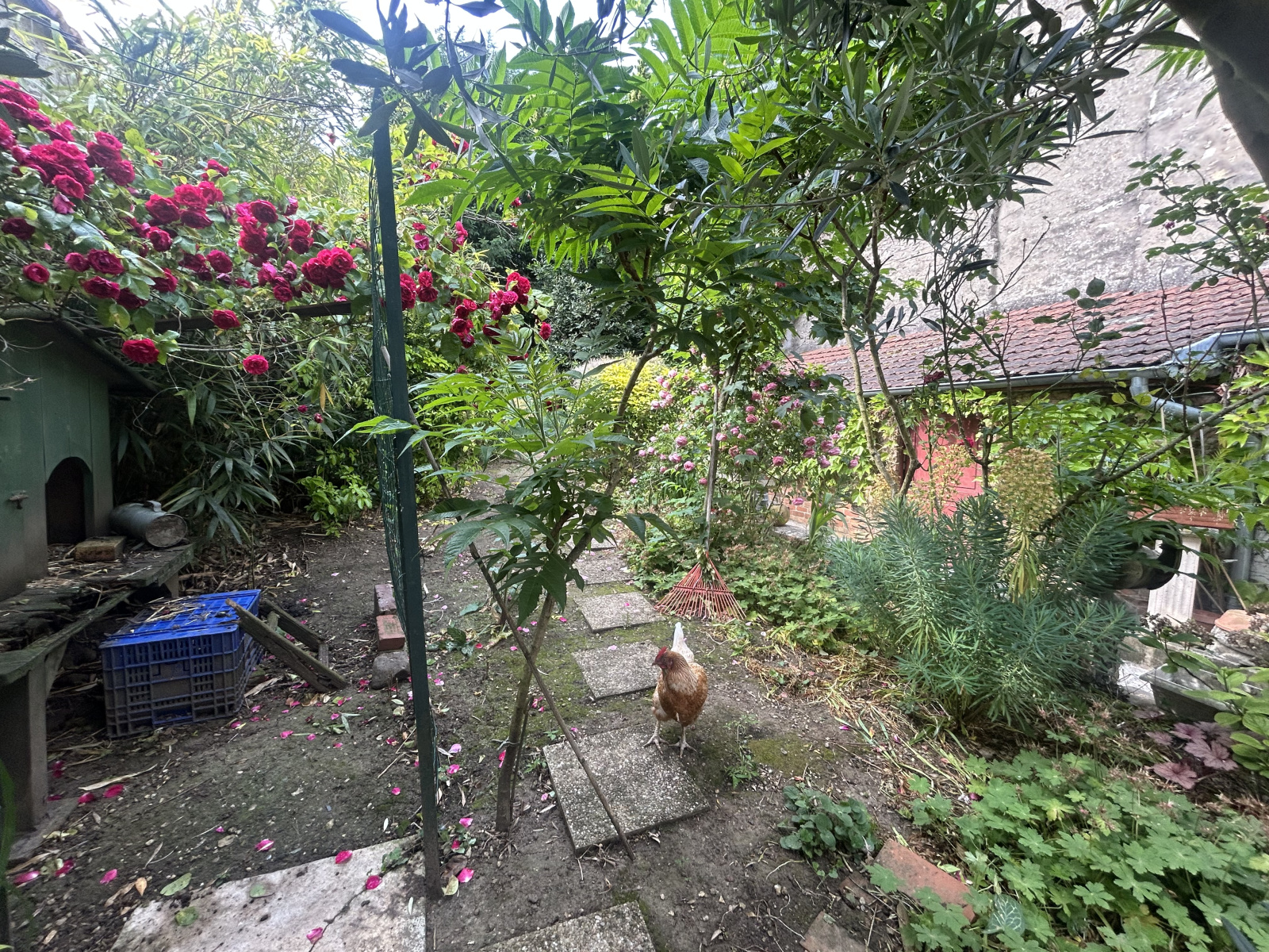 Image_, Maison, Étampes, ref :POVMA140013835