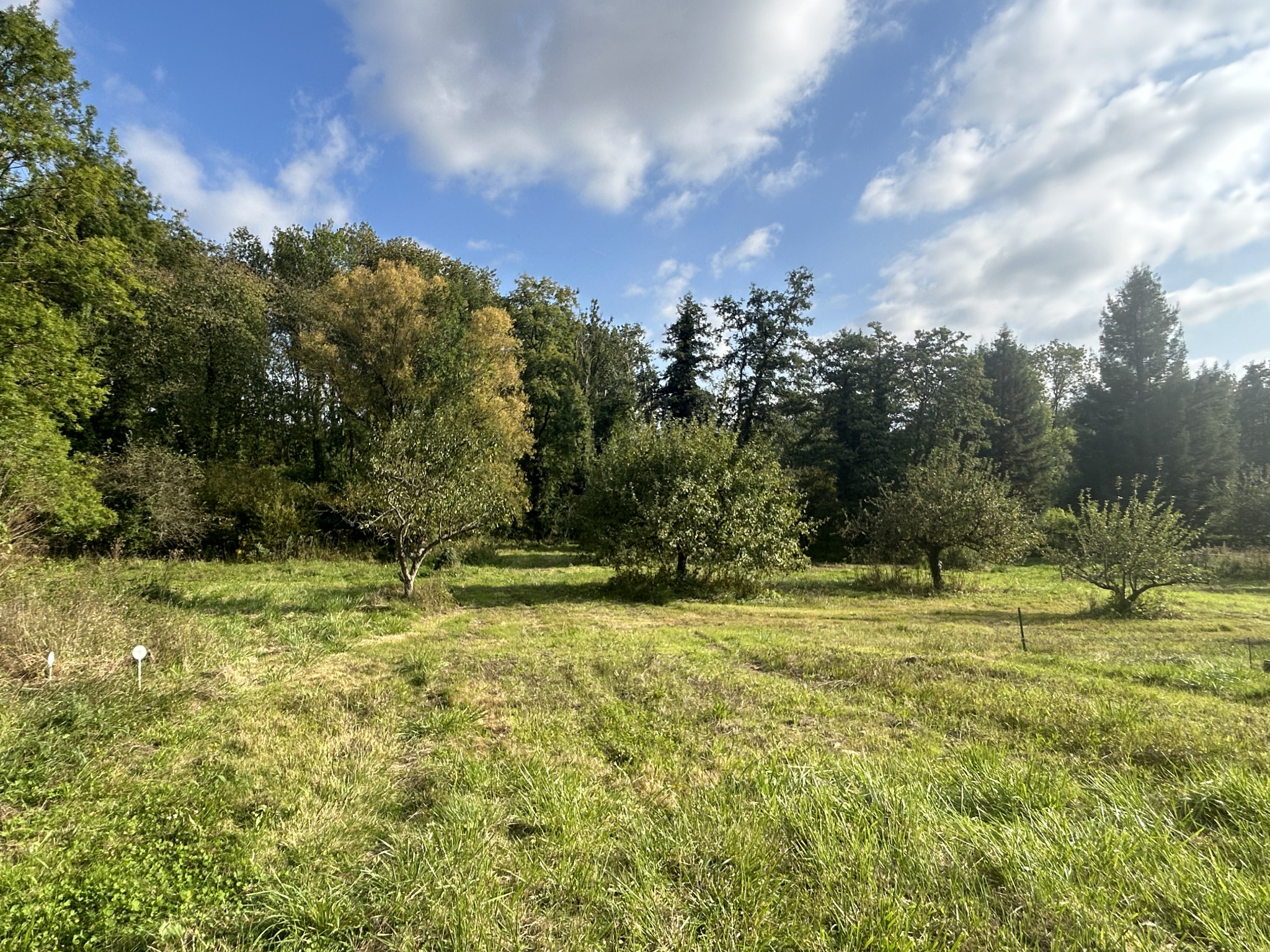 Agence immobilière de 3.5.7 Immo