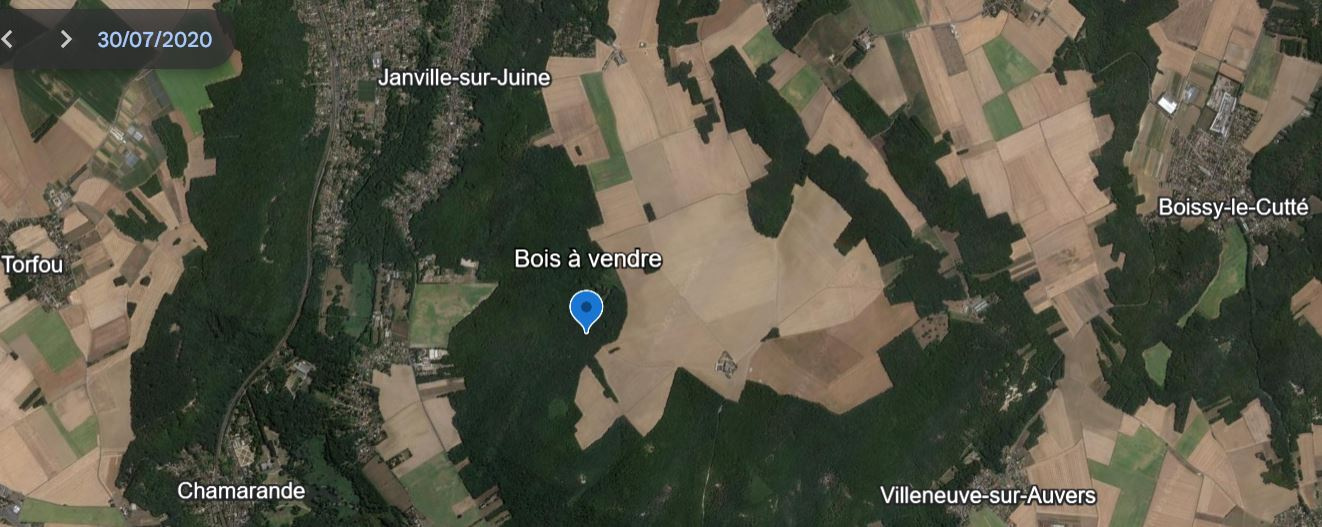 JANVLLE SUR JUINE PARCELLE DE BOIS 10118M2 A VENDRE